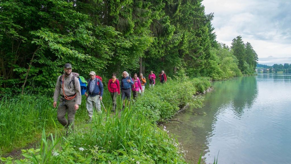 Eine Gruppe wandert den Lech am Waldrand entlang.